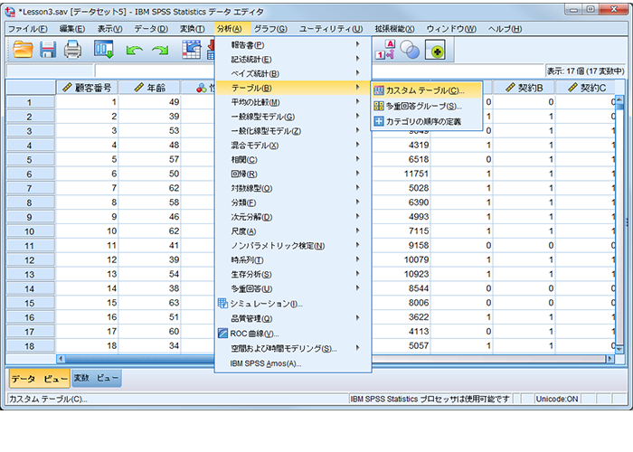 Ibm Spss Custom Tables Statsguild Inc