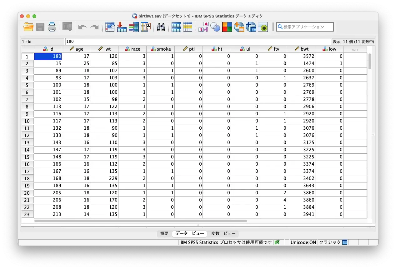SPSS Statistics のイメージ