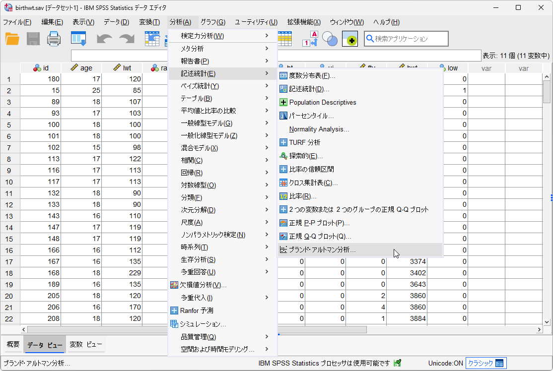 IBM SPSS Statistics 30